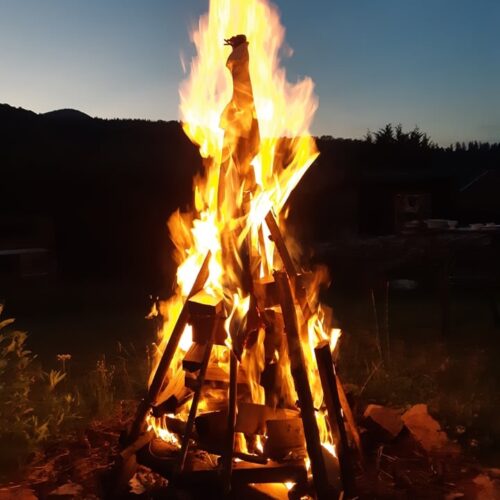 Recette à base de plantes sauvages