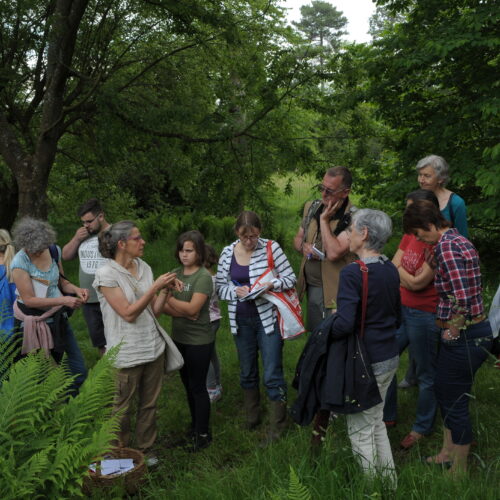 Le jardin de Gribouille - 