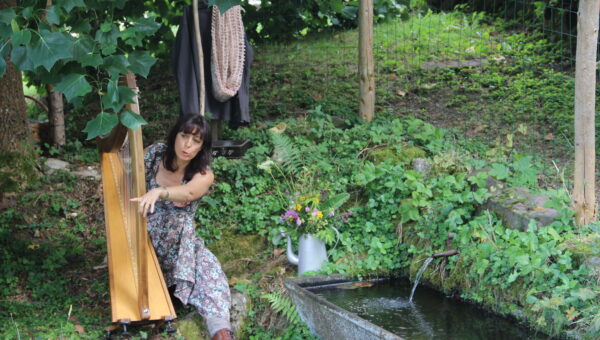 Atelier plantes sauvages